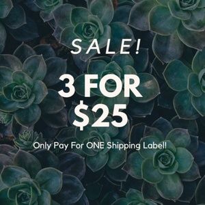 ALL ITEMS MARKED 3/$25 on SALE! Pls SHARE